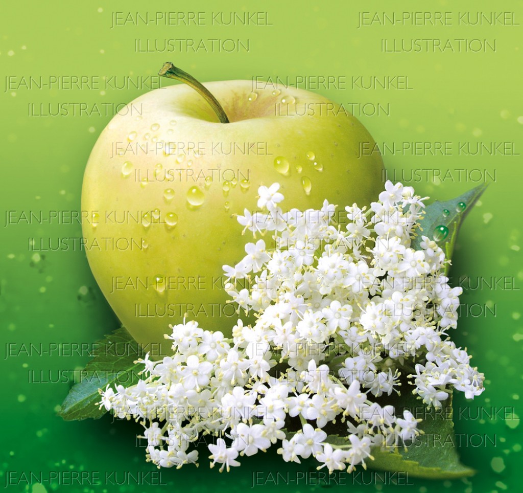 Apfel – Holunder | Jean-Pierre Kunkel