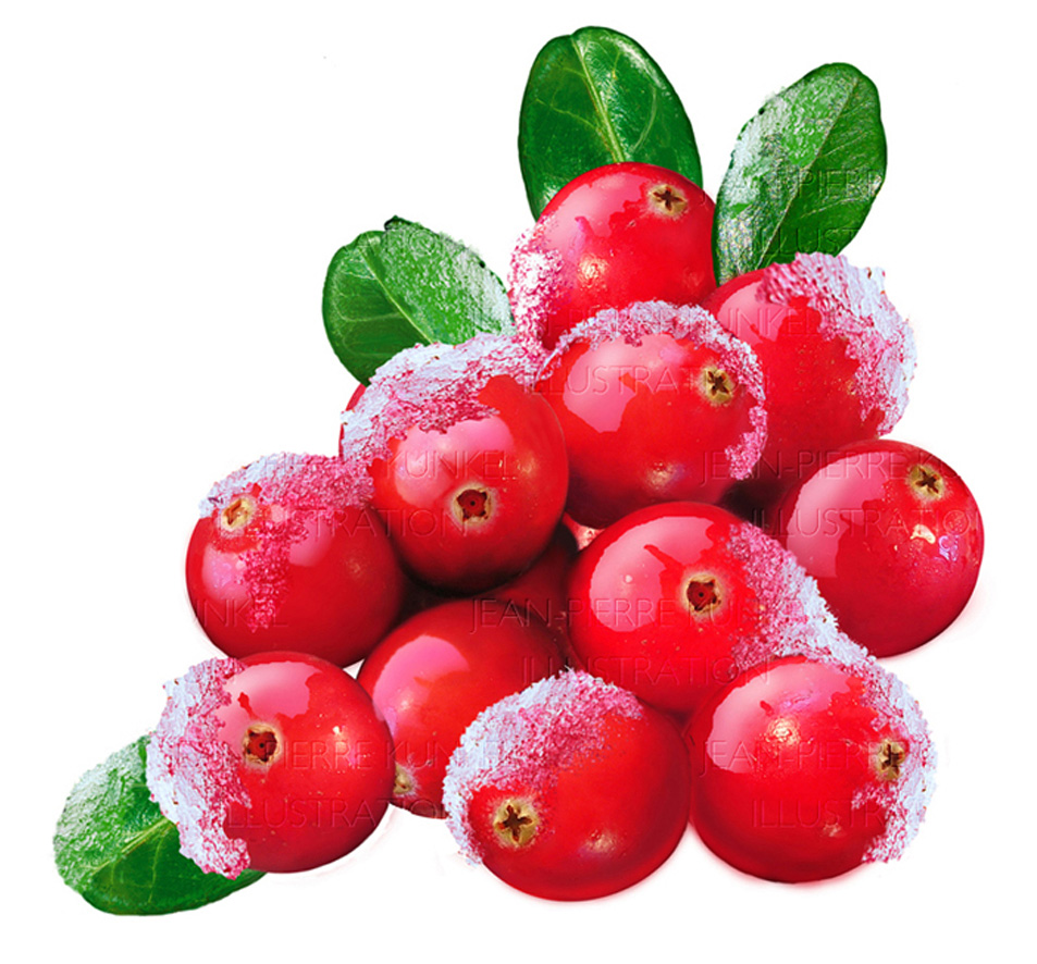 Ice Cranberries