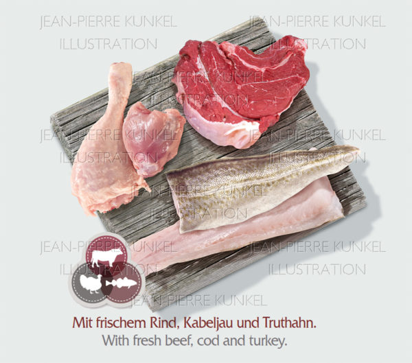 Produktbild Fisch und Fleisch 2