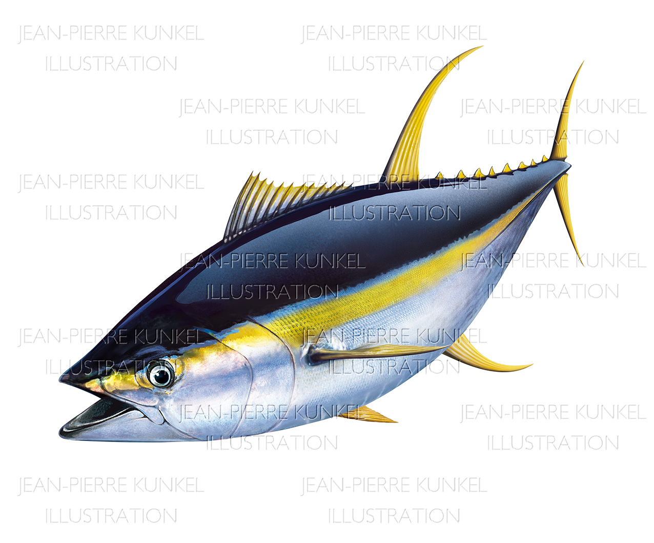 Thunfisch