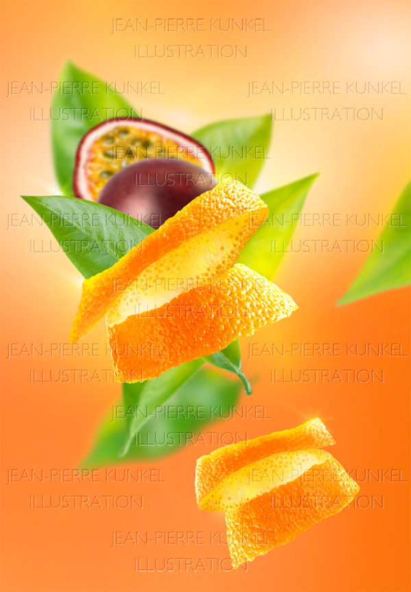 Frucht-Illustration